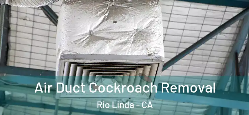  Air Duct Cockroach Removal Rio Linda - CA