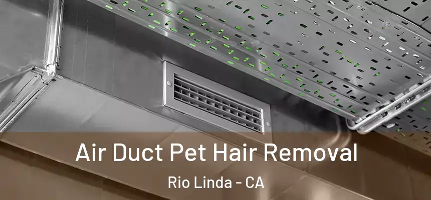  Air Duct Pet Hair Removal Rio Linda - CA