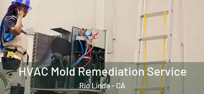  HVAC Mold Remediation Service Rio Linda - CA