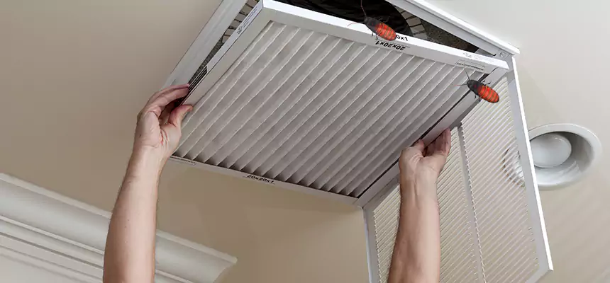 Our Insect Removal from Air Ducts Services in Rio Linda, CA