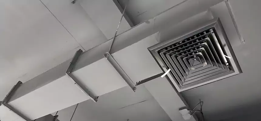 Our Rodent Droppings In Vents Services in Rio Linda, CA