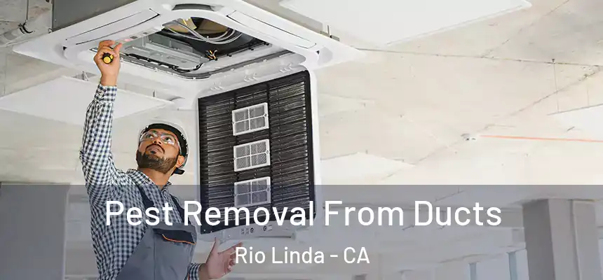  Pest Removal From Ducts Rio Linda - CA