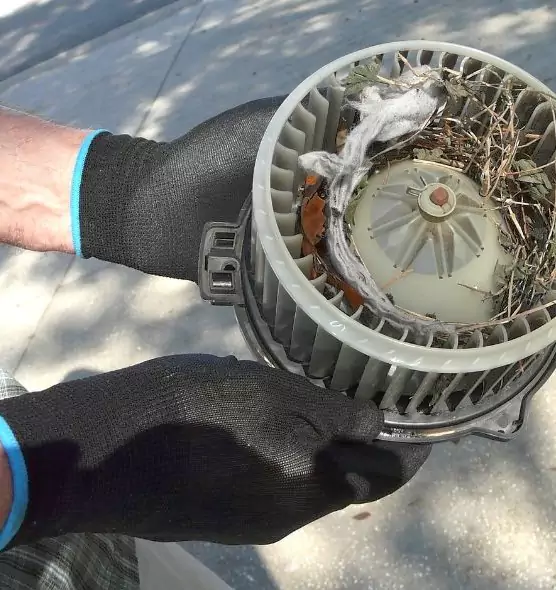 About Air Duct Mice Removal in Rio Linda, CA