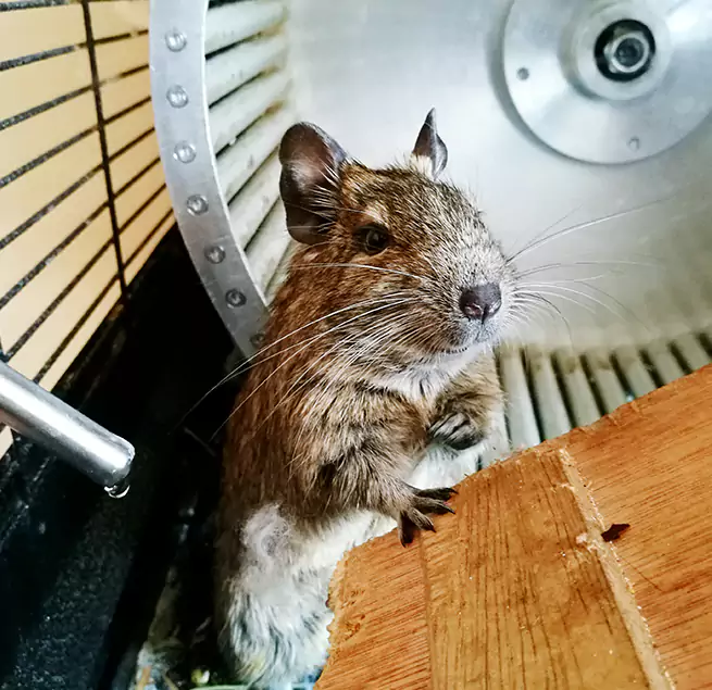 Why Homeowners & Businesses Trust Us Rio Linda, CA?